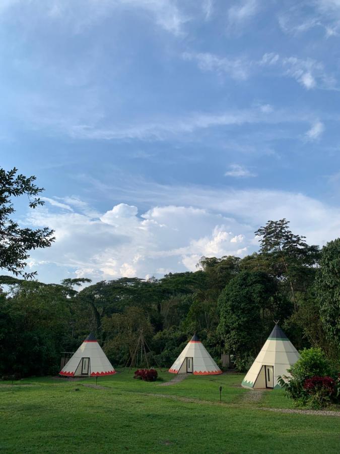 Bosque De Aventura & Glamping Refugio Del Bosque Hotell La Mesa  Exteriör bild