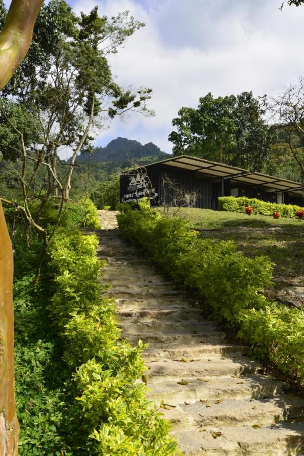 Bosque De Aventura & Glamping Refugio Del Bosque Hotell La Mesa  Exteriör bild